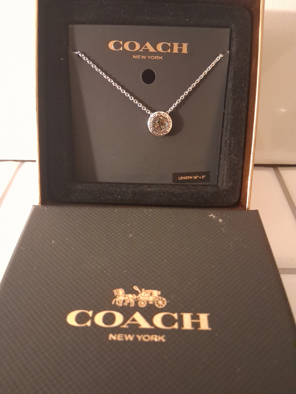 COACH Silver-tone Crystal Circle Pendant Necklace - Silver